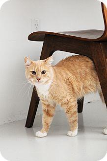 Tiger (pendi (18024469)