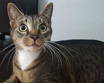 Tigger (18438233)