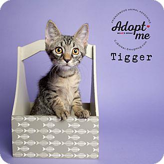 Tigger (18894532)
