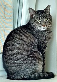 Tigger (19768007)