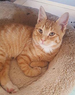 Tigger (20210211)