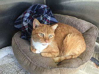 Tigger (20398680)