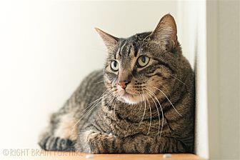 Tigger (20609375)