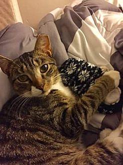 Tiggy (20451462)