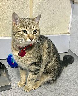 Tiggy (20466135)
