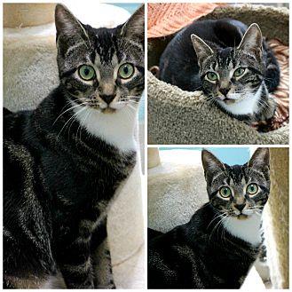 Tilly (20358910)