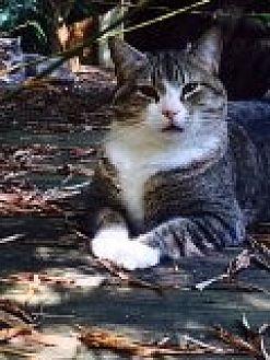 Timmy (15289533)