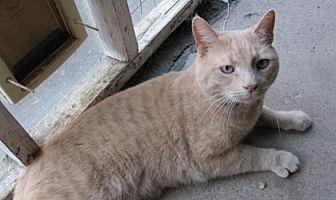 Timmy (17326182)