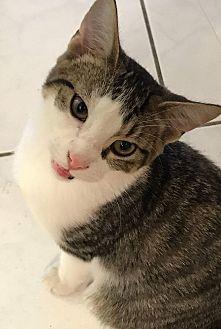 Timmy (19176256)