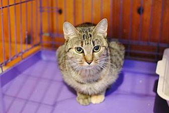 Tina (19396534)