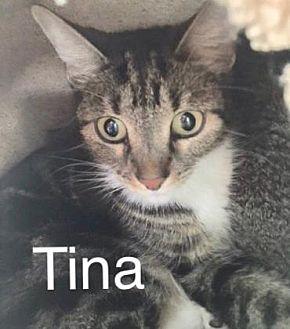 Tina (19880199)