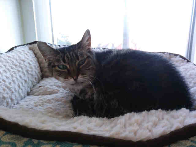 TINA (A621631)