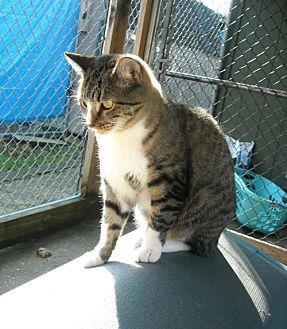TJ (20077611)