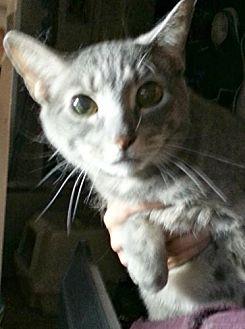 Tobey, Heidi (17561530)