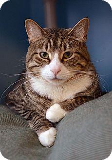 Toby (15356914)