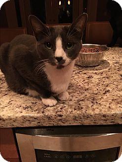 Tom (17226930)