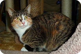 Toni (7091506)