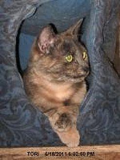 Tori (13782891)