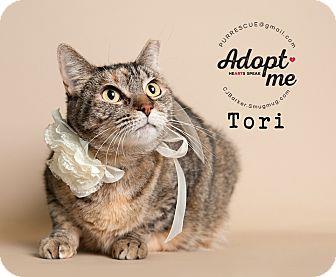 Tori (18917168)