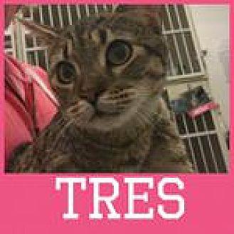 Tres (19572792)