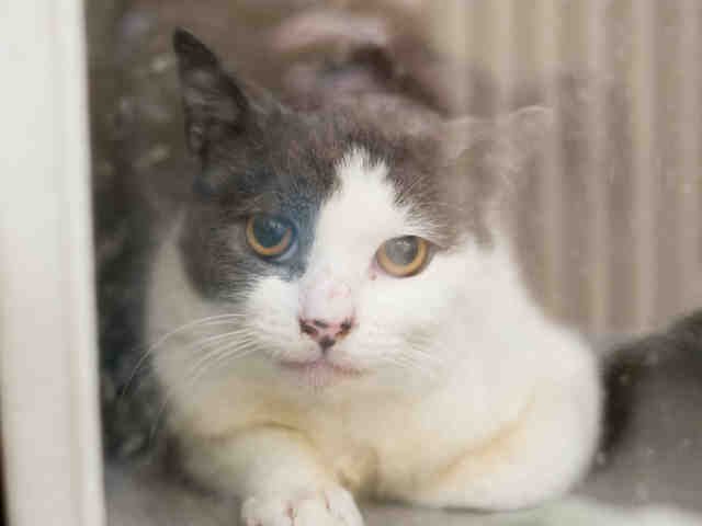 TREY (A906064)