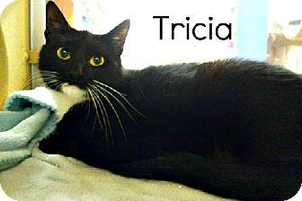 Tricia (9732617)