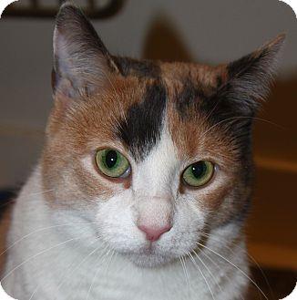Tripod (14702619)