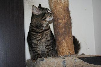 Truffle (19962514)