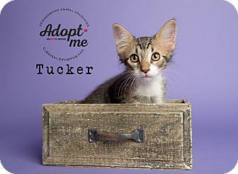 Tucker (18894655)