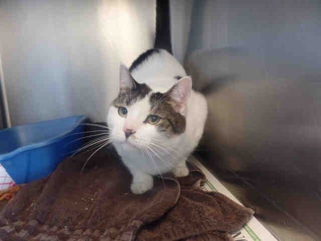 TUCKER (A277300)
