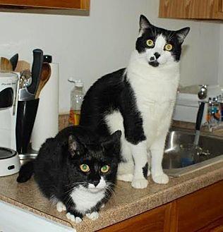 Tucker and W (13771099)