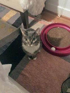 Tuna (20114074)