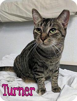Turner (17640295)