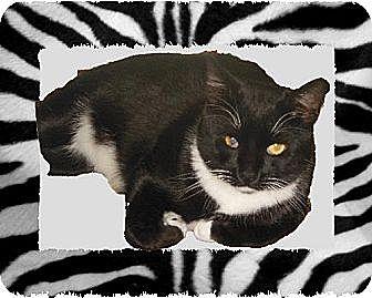 Tux (10571016)