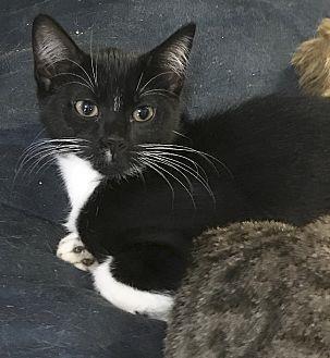 Tux (19566774)