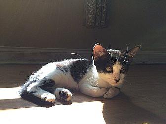Tux (19957085)