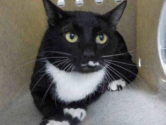 TUX (20327664)