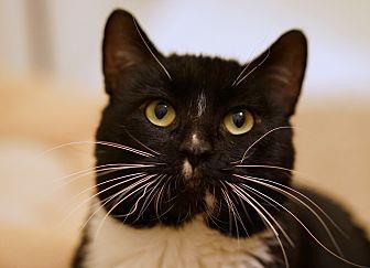Tux (20457224)