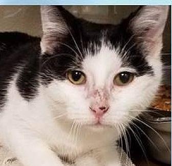 Tux (20595114)