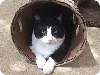 TUX (4847932)