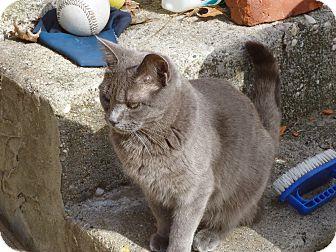 Tweety (13506148)