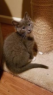 Twinkie (18529568)