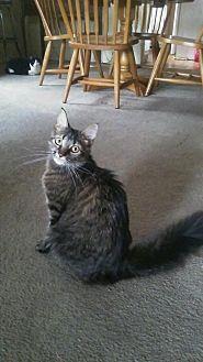 Twix (17202687)