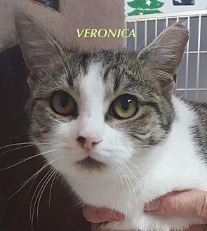 Veronica (19572347)