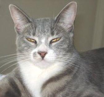 Veruca (20175933)