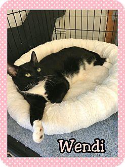 Wendi (17978505)