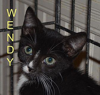 Wendy (19465124)