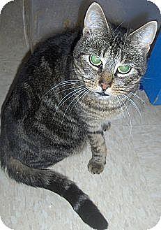 Wendy (6149846)