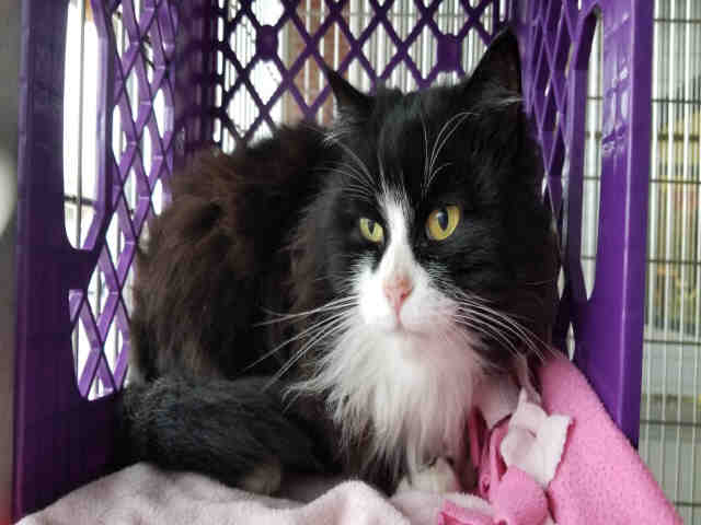WENDY (A178380)
