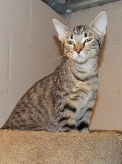 WHEEZIE (20070827)